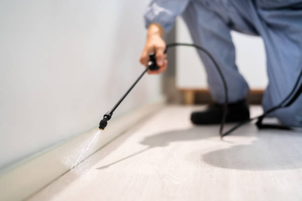 Licensed Pest Control service in Destrehan, LA - Show Me Pest Control