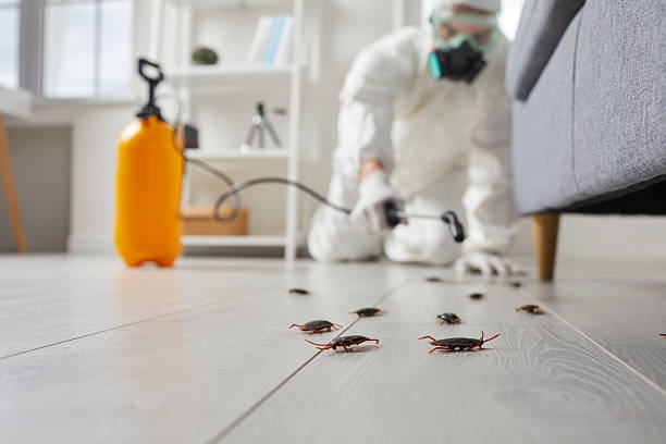 Commercial Kitchen Cockroach Control in Destrehan